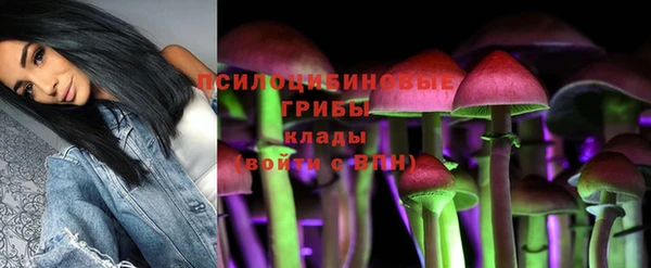 сатива Балахна