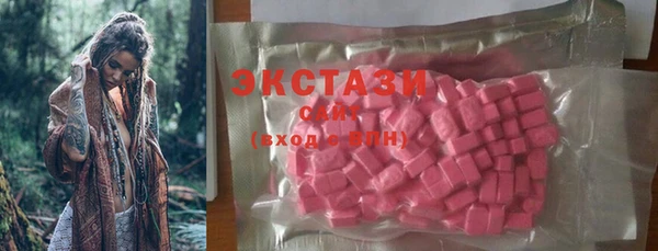 индика Арсеньев