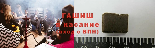 индика Арсеньев