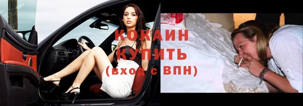 индика Арсеньев