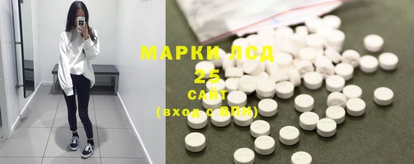 индика Арсеньев