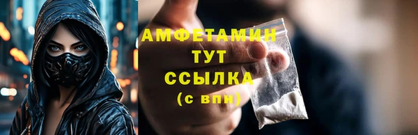 ГАЛЛЮЦИНОГЕННЫЕ ГРИБЫ Аркадак