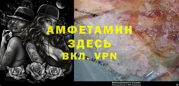 сатива Балахна