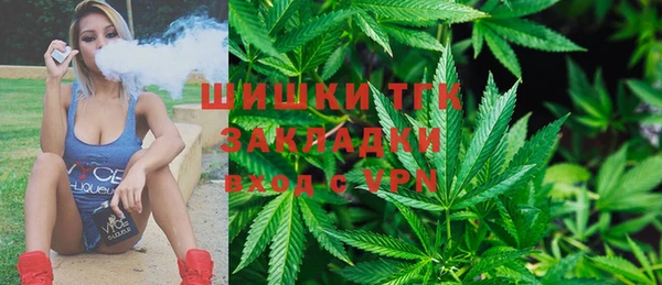сатива Балахна