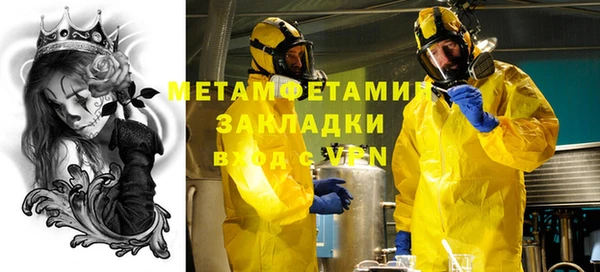 ГАЛЛЮЦИНОГЕННЫЕ ГРИБЫ Аркадак