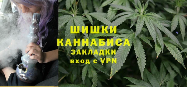 ГАЛЛЮЦИНОГЕННЫЕ ГРИБЫ Аркадак