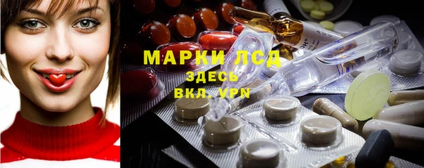 сатива Балахна